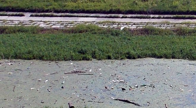 Mikroplastiku i u površinskoj i u otpadnoj vodi u reci Dunav