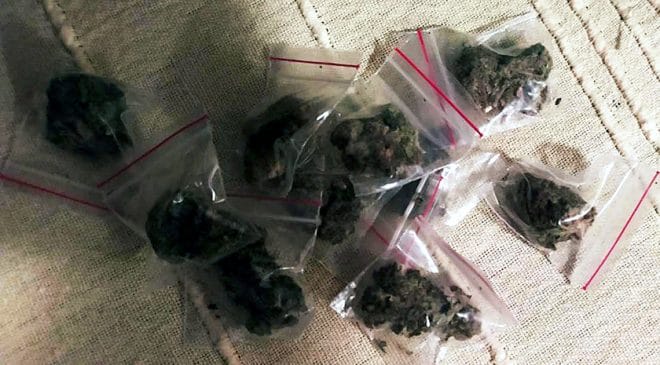 Određen pritvor Palančaninu koji je osumnjičen za prodavanje marihuane