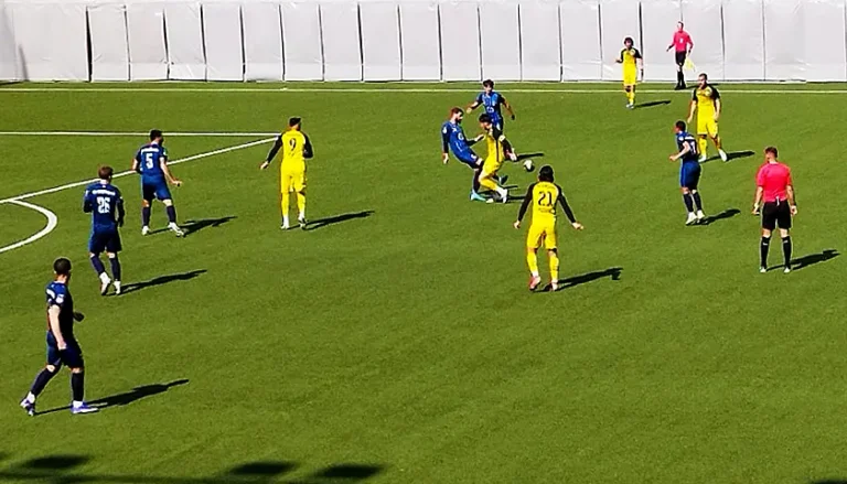 vozdovac smederevo prijateljska