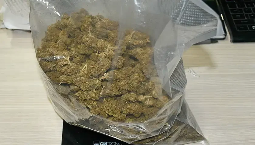 390 gr marihuane