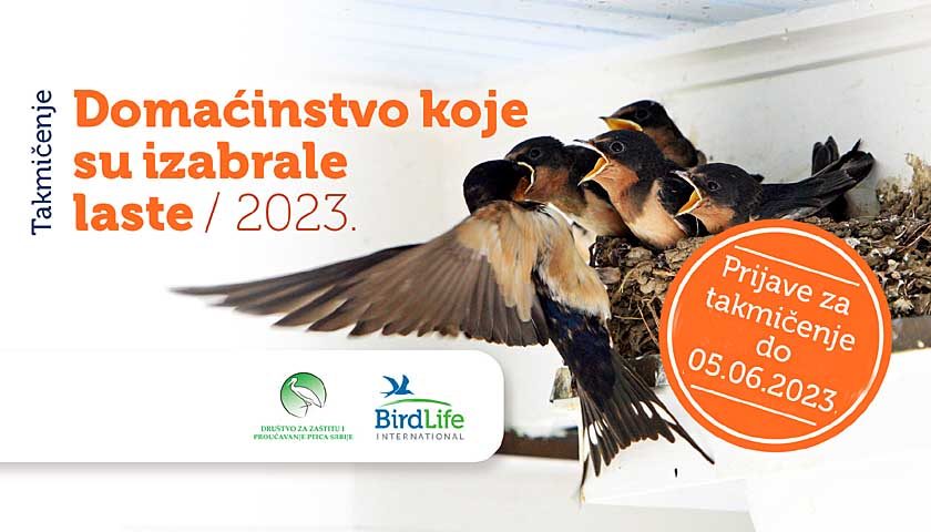 DOMACINSTVO KOJE SU IZABRALE LASTE 2023