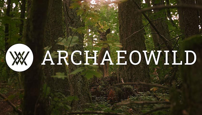 arcahaewild