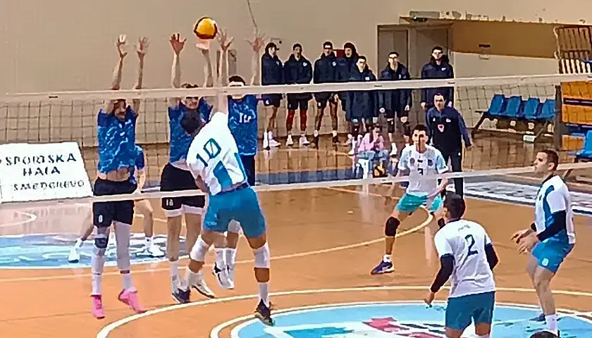 carina novi sad 1
