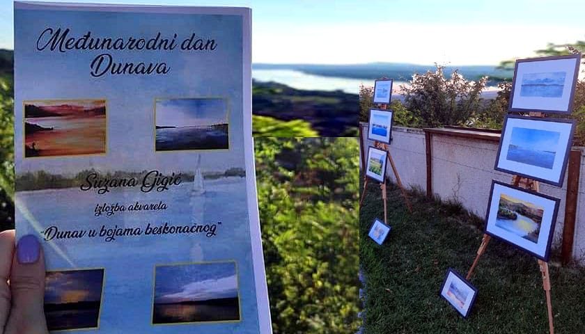 dan dunava izlozba 1