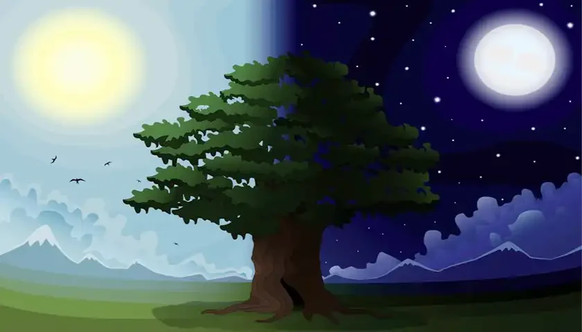 dan i noc