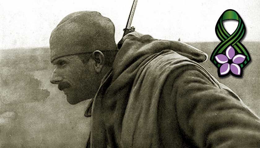 dan primirja 1