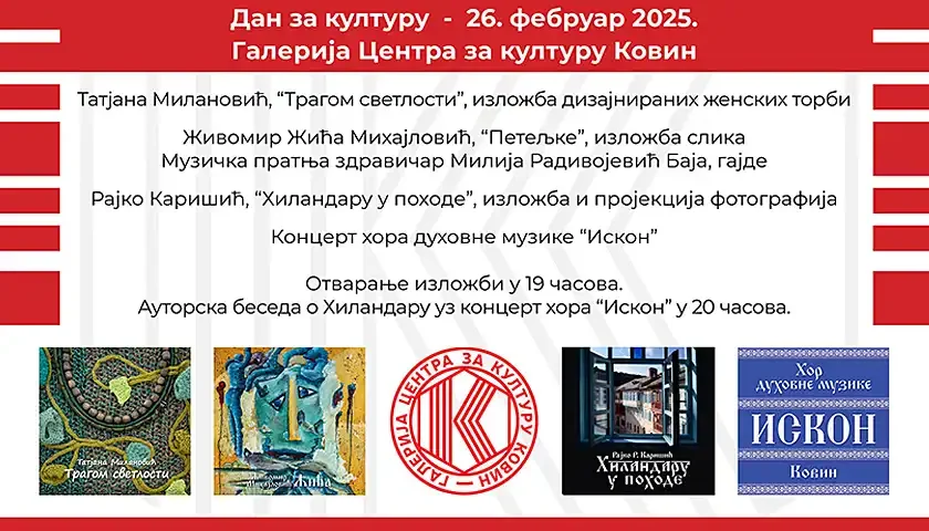 dan za kulturu