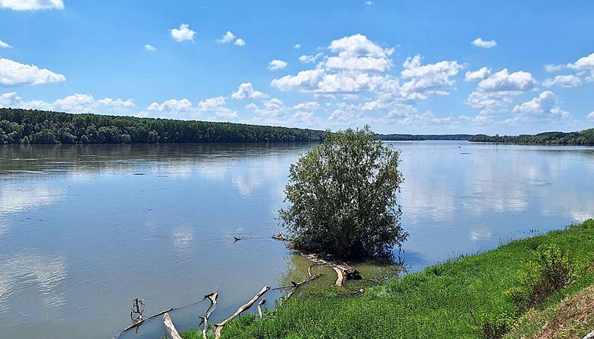 dunav 10 6