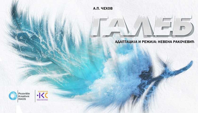 galeb kreativni haos