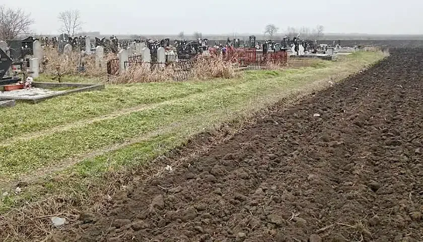 grobljer malo basvaniste