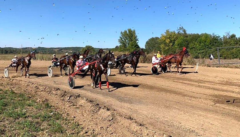 hipodrom velika plana
