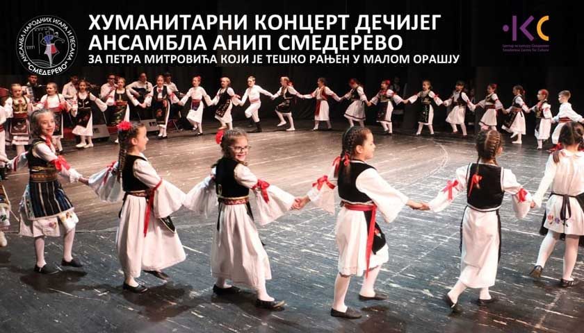 humanitarni koncert