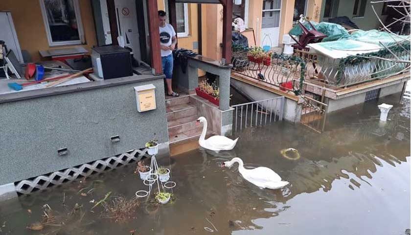 izlio se dunav