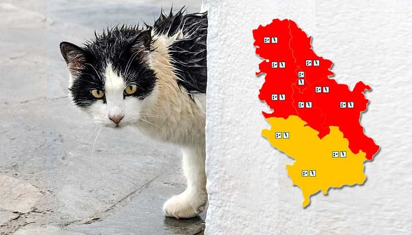 jaka kisa