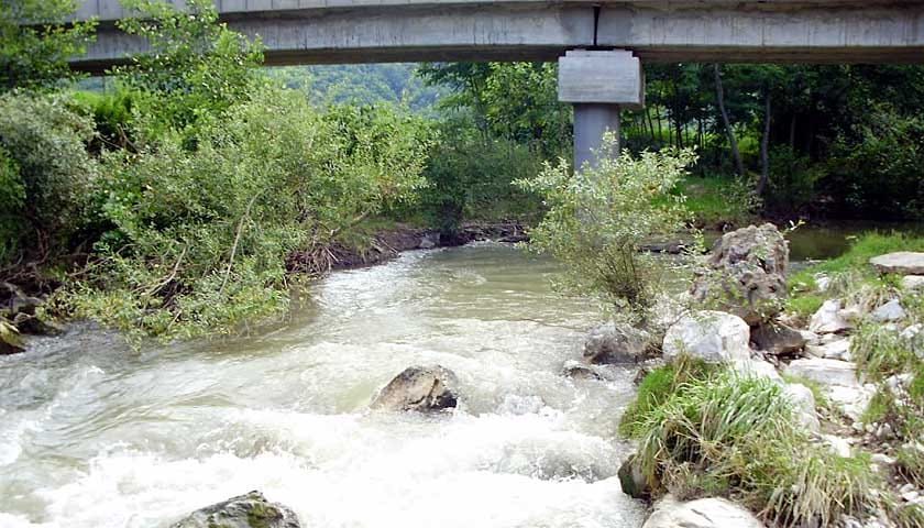 jasenica