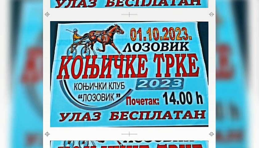 konjicke trge lozovik