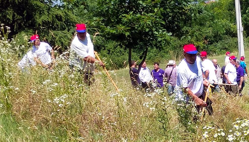 kosidba na plavincu 0