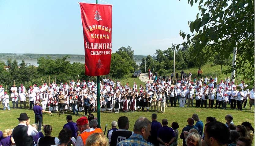 kosidba na plavincu 2022
