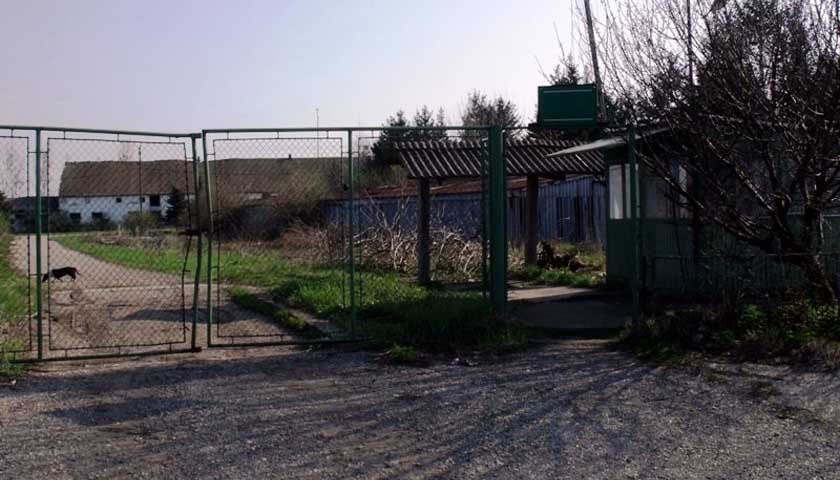 lune milovanovic bavaniste