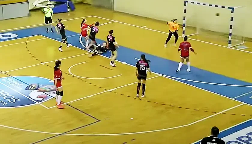 ml radnik vojvodina 2