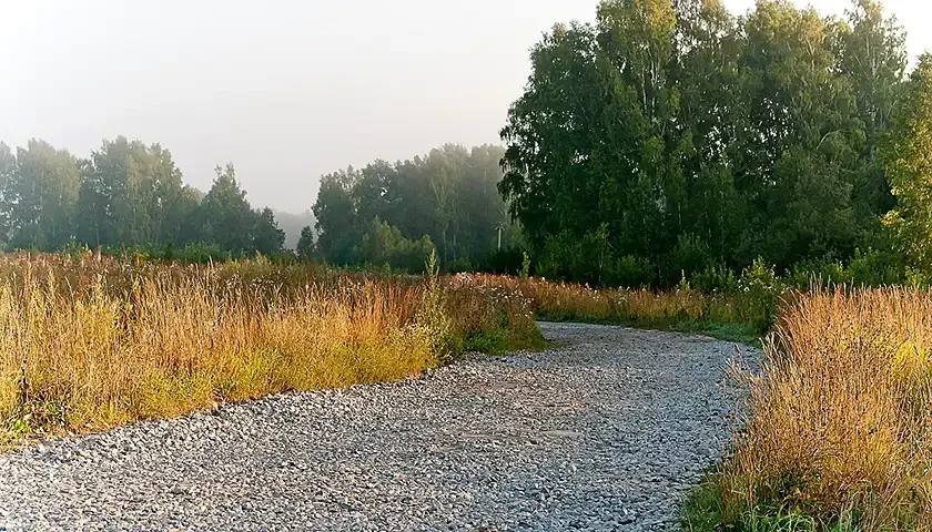 njivski put