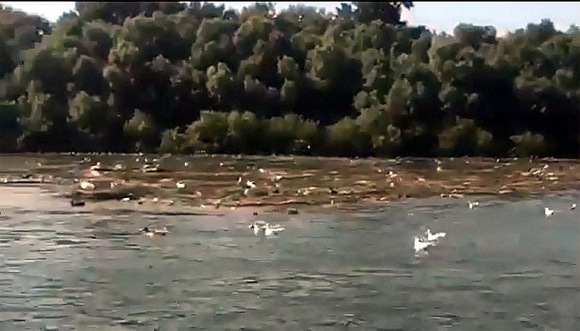 oostrvo otpada na uscu save u dunav