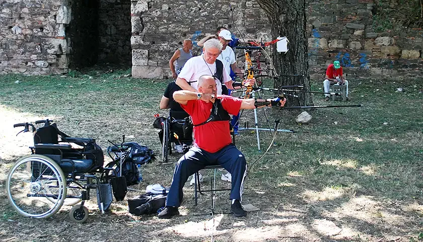 parastrelicari 6 9 1