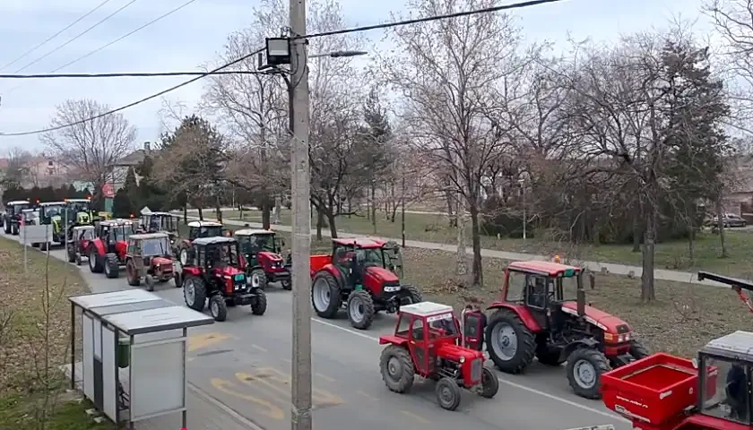 pidikanci protestuju 1