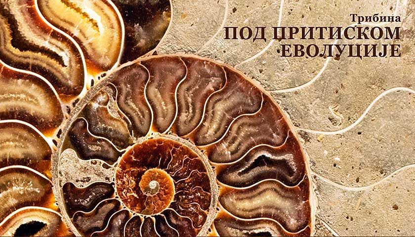 pod pritiskom evolucijer tribinia