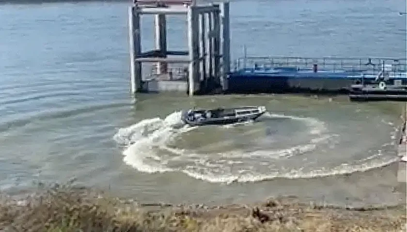 podivljali camac iz apatina