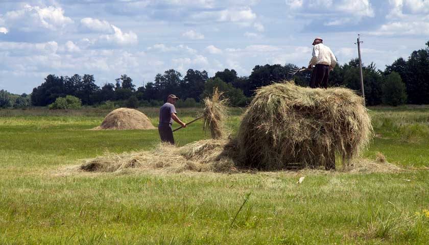 poljoprivreda