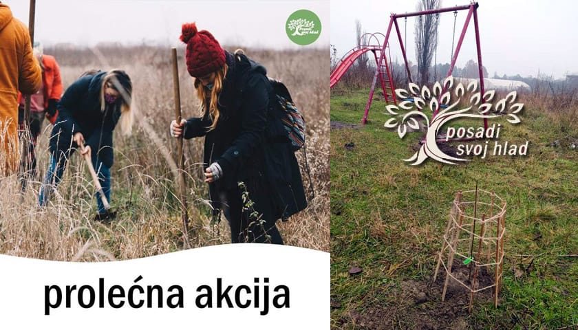 posadi svoj hlad