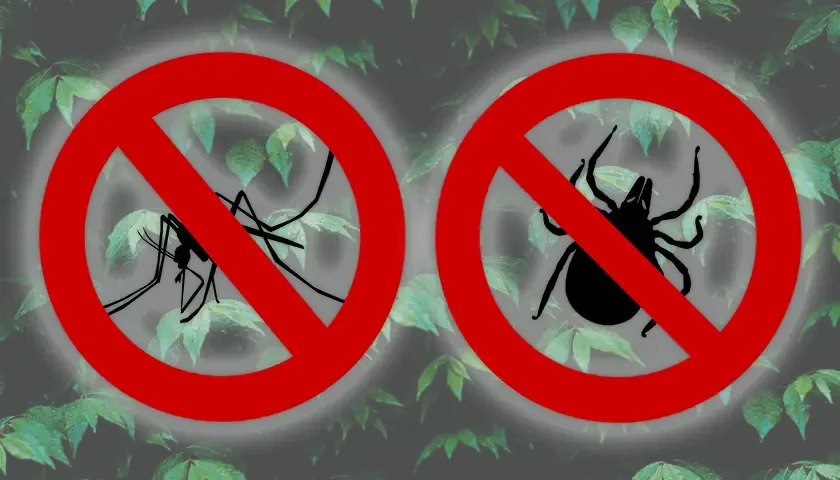 protiv komaraca i krpleja