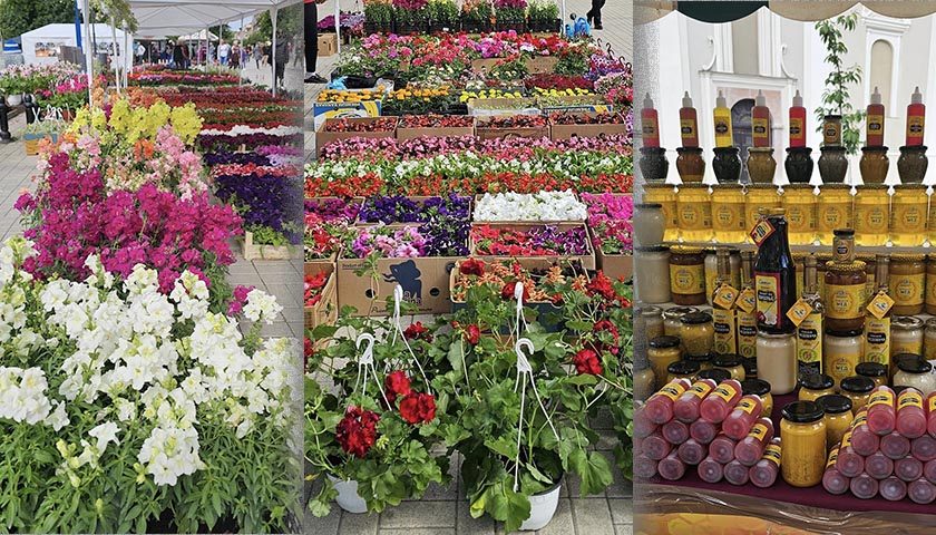 sajam cveca i meda 1