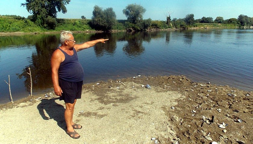 slavko 1
