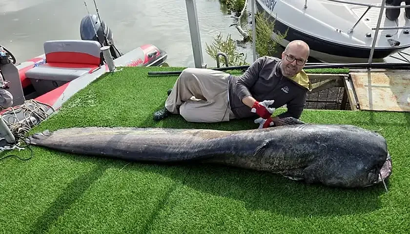 som kapitalac iz varne