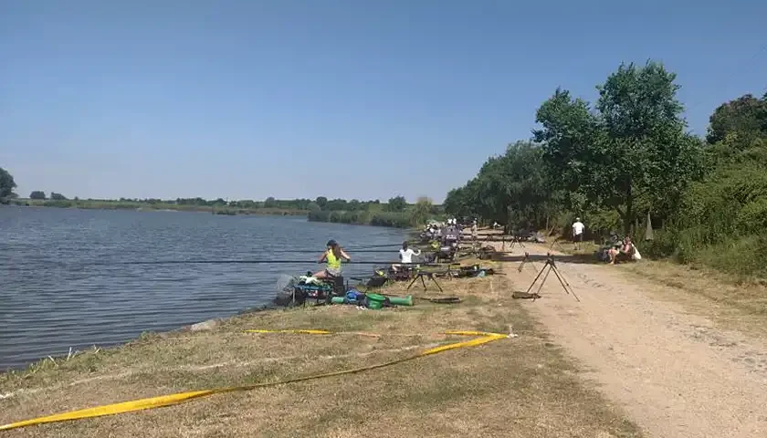 somovijada kraljevac