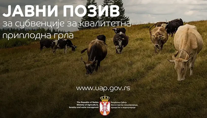 subvencije za priplofna grla