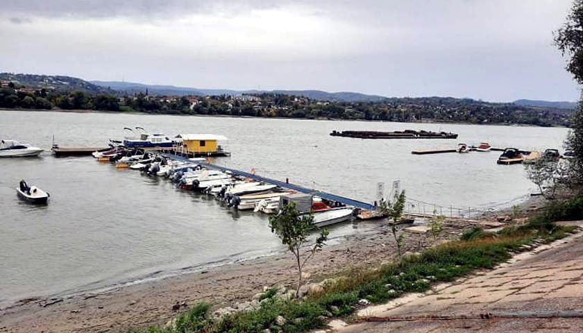 udruzenje profesionalnih ladjara 1