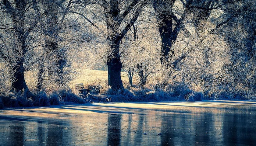 winter-5228750_1280