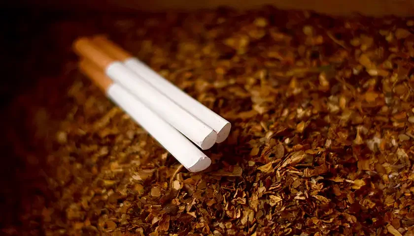 zaplenjen duvan i cigarete